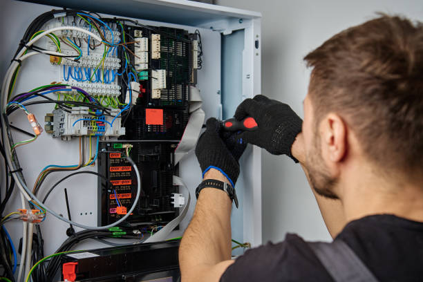 Licensed Electrical Panel Upgrade service in Richmond, MN - No Joke electrician